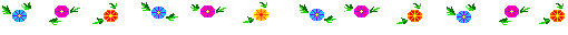 Hummbird.gif (6184 bytes)