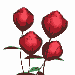 rose2.gif (14447 bytes)